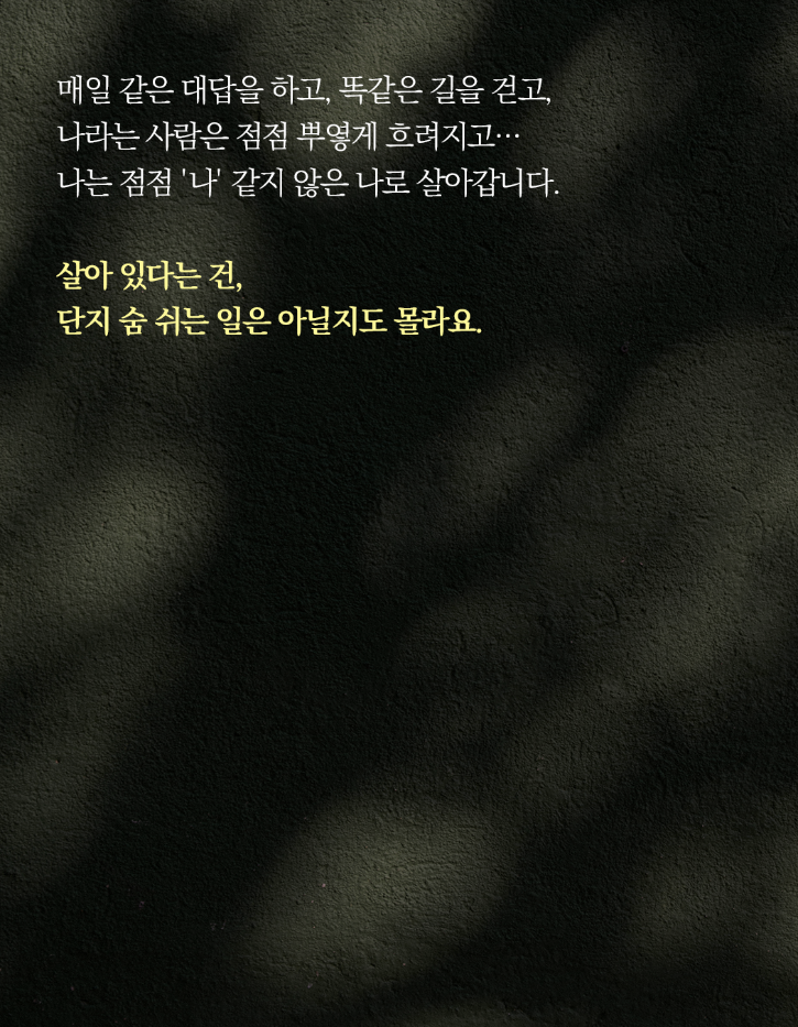 KakaoTalk_20250430_144929785_02.png